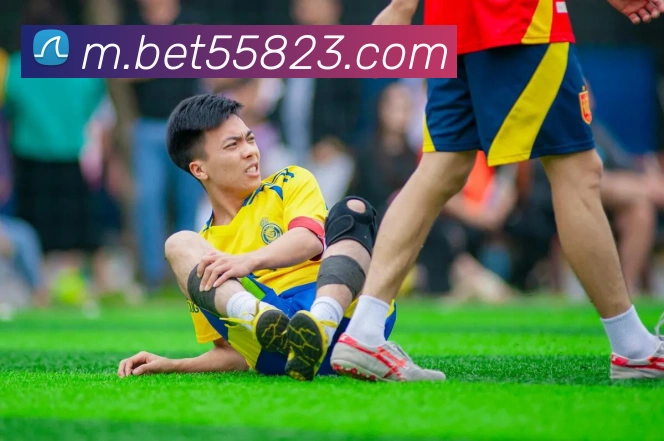bet365comAPP 封面图